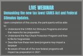Unmasking the New Tax Laws! CARES Act and Federal Stimulus Updates